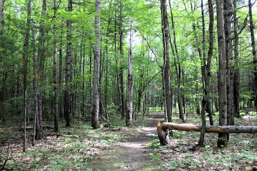 Arboretum Trail