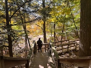 Peel off from the Dune Overlook trail and head to the beach. Follow the fall colors all the way to Lake Michigan on this short boardwalk trail.
