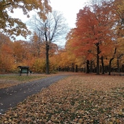 The Porcupine Mountains Wilderness State Park is still open for camping at the Union Bay Campground, Presque Isle campground, Rustic campsites as well as the backcountry camping including cabins and yurts. (Photo by Michigan DNR)
