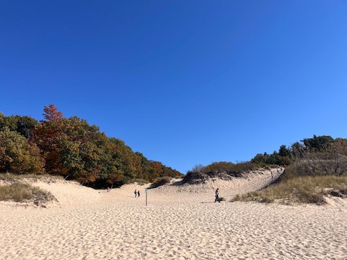 Hoffmaster State Park Dune Overlook and Beach Trail