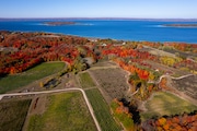 An aerial image of fall colors and vineyards on Old Mission Peninsula in Grand Traverse County on Friday, Oct. 18, 2024. In the background is Power Island on the West Arm of the Grand Traverse Bay. 