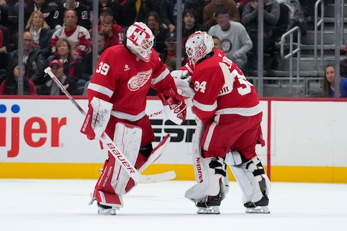 Red Wings stress need to get two goalies in a groove