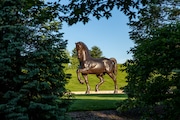 "The American Horse" by Nina Akamu at Frederik Meijer Gardens and Sculpture Park in Grand Rapids on Monday, June 8, 2020. (Cory Morse | MLive.com)